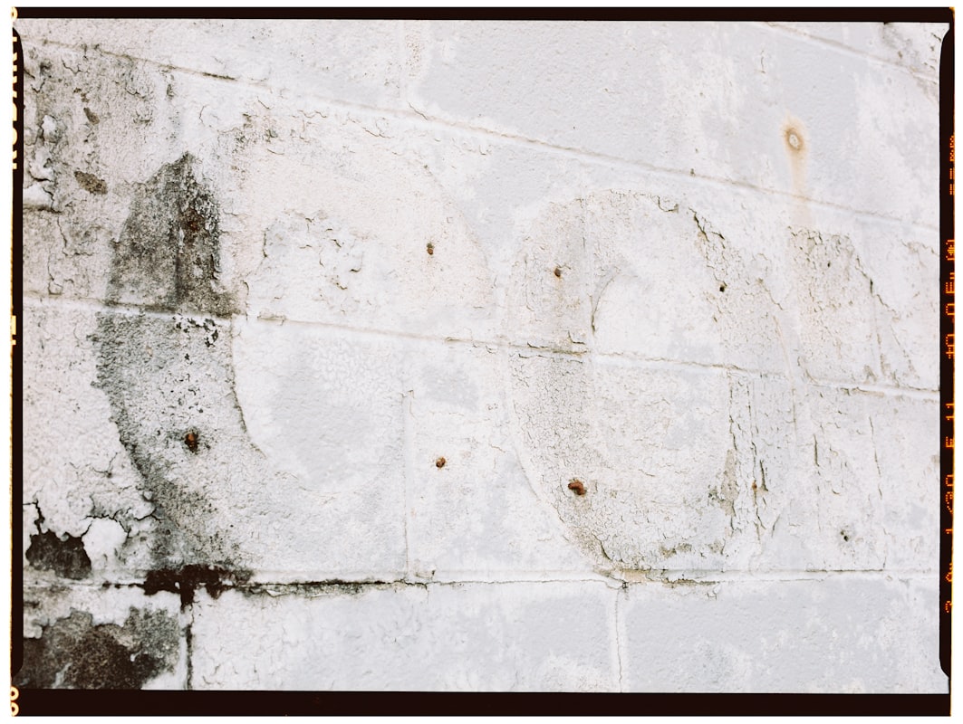 Mold Remediation service in Sugar Land, TX