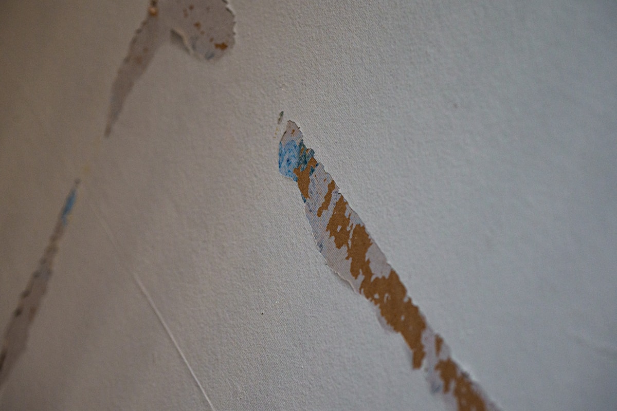 Basement Water Removal service in Sugar Land, TX